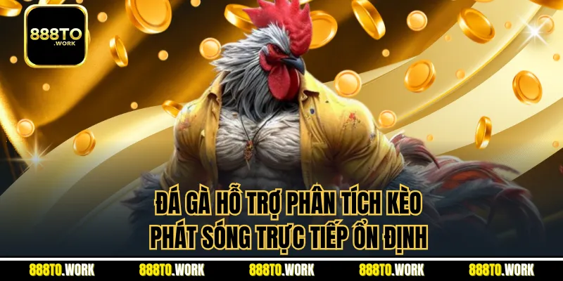 Đá gà hỗ trợ phân tích kèo, phát sóng trực tiếp ổn định