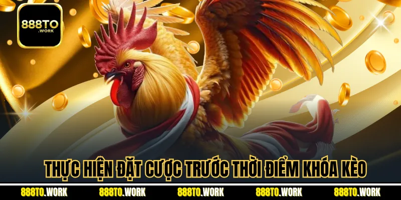 Thực hiện đặt cược trước thời điểm khóa kèo