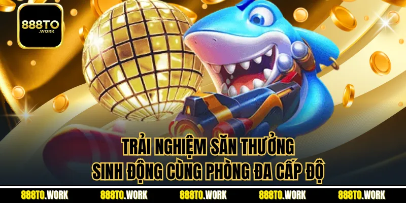 Trải nghiệm săn thưởng sinh động cùng phòng đa cấp độ